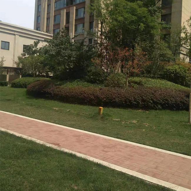 廠(chǎng)區綠化施工設計及養護