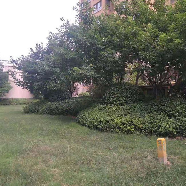 別墅綠化施工設計及養護